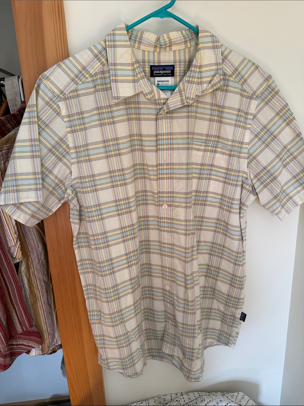 Men’s Patagonia button down